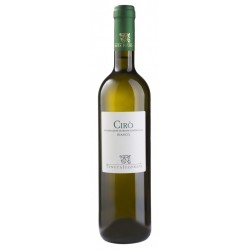 VinoWhite wine Iuzzolini DOC Cirò Cl 75