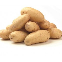 Yellow-fleshed potatoes from Sila Agria variety