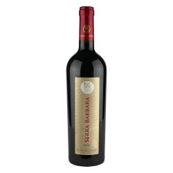 Serra barbara igp Calabria Russo & Longo red wine