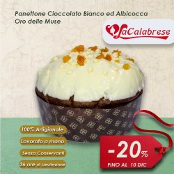 Artisan Bolero panettone with apricots and white chocolate